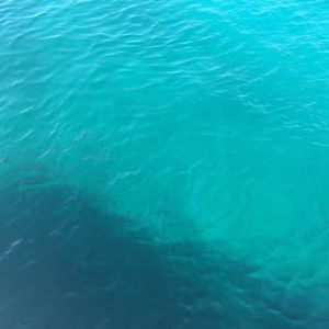 Meet your Posher, Ili